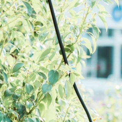 安博体育·(中国)官方网站